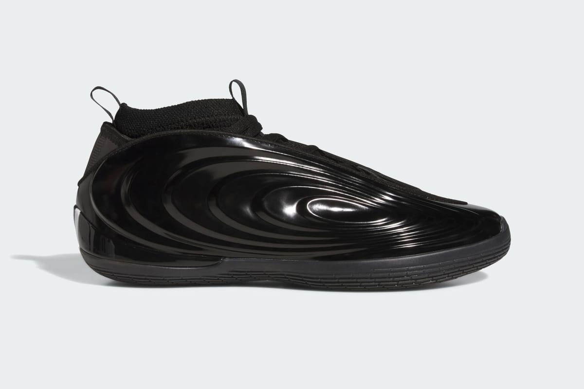 adidas Harden Vol. 10 "Hell Cat"