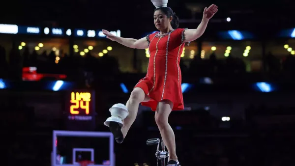 Red Panda Injured During WNBA Halftime Show at Commissioner’s Cup Final