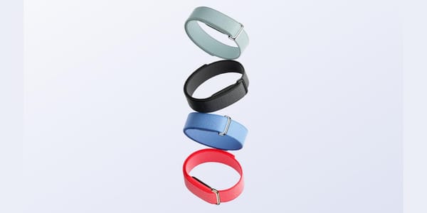 Google's Screenless Fitbit Air Arrives May 26 at $99