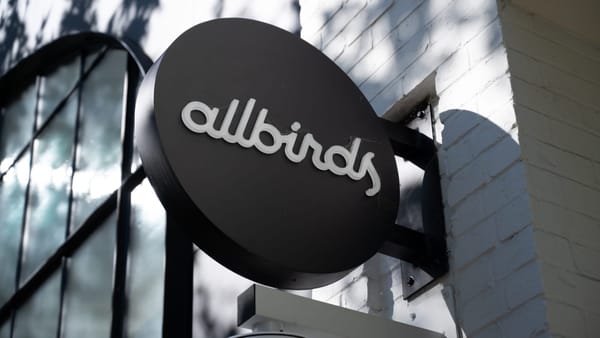 Allbirds Rebrands to Smartbird and Names Nadia Carlsten CEO in AI Pivot