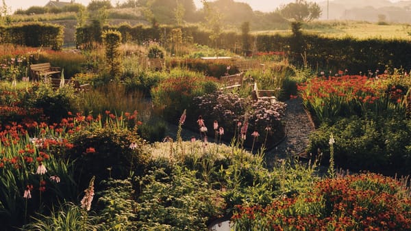 New Balance's Flimby, UK factory garden designed with jeweler Bleue Burnham