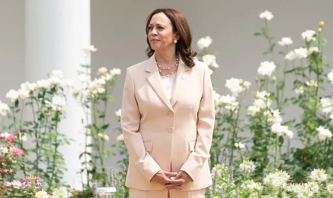 Vice President Kamala Harris Credit: Official White House Photo by Lawrence Jackson